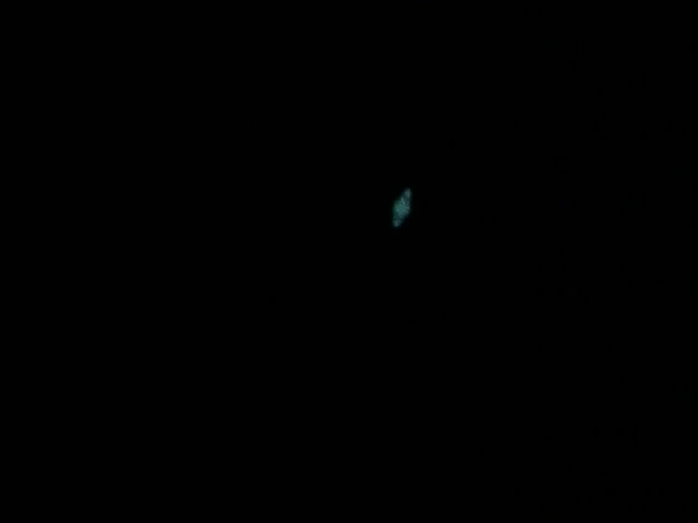 snapshot20120408150326.jpg