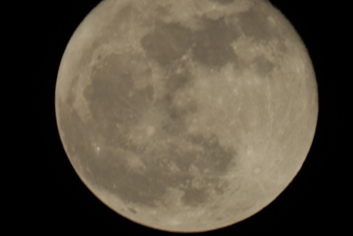 DSC_00302.jpg