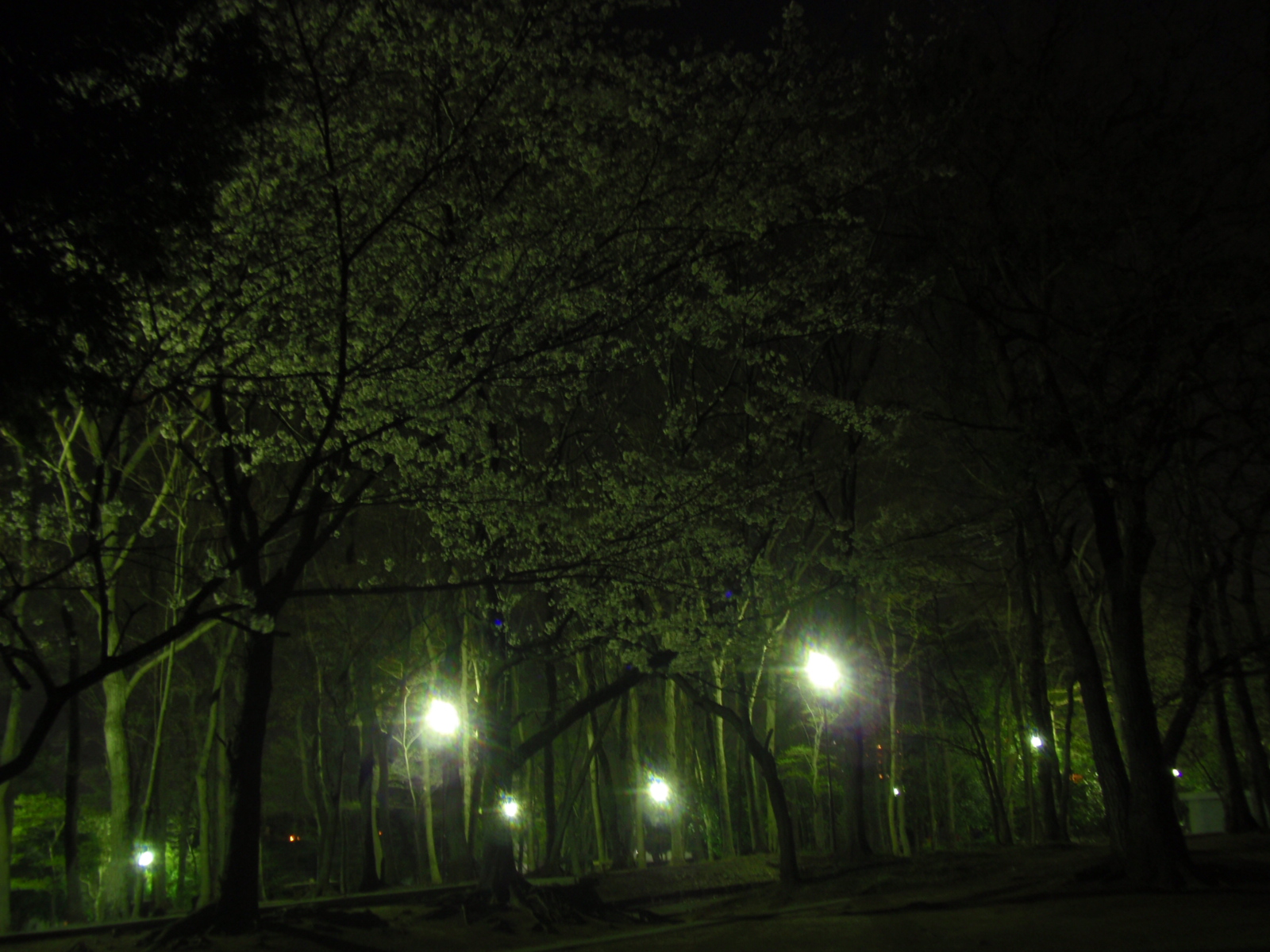 P4097433.JPG