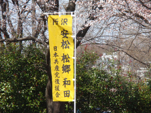 P4087405.JPG
