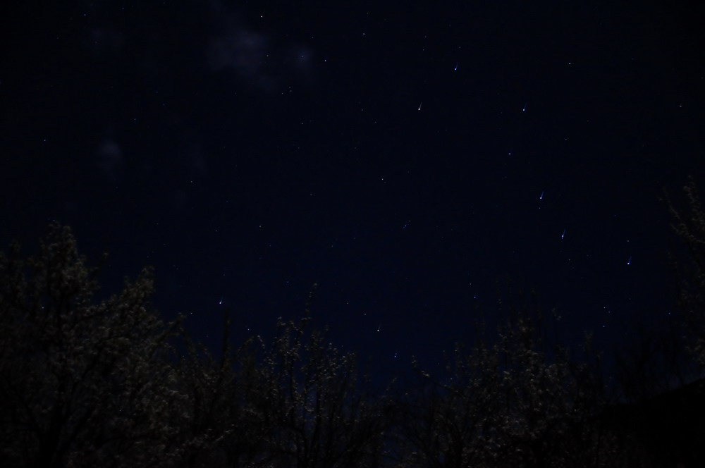 DSC_8850.jpg