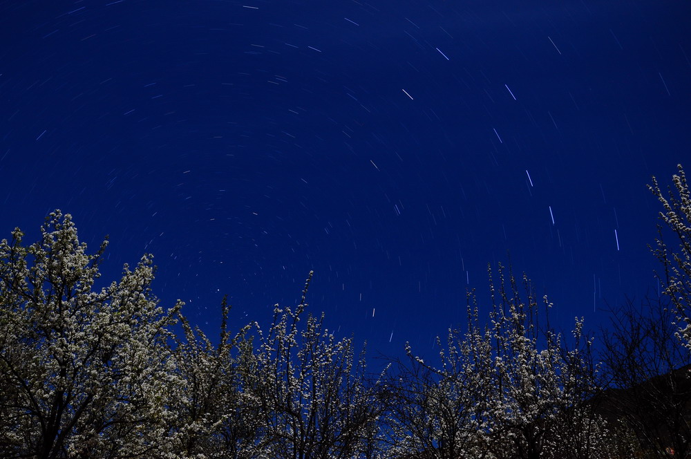 DSC_8851.jpg