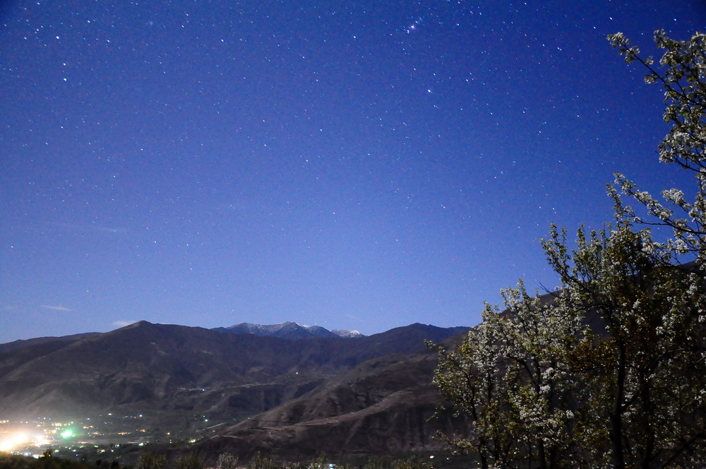 DSC_8831.jpg