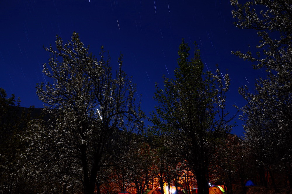 DSC_8856.jpg