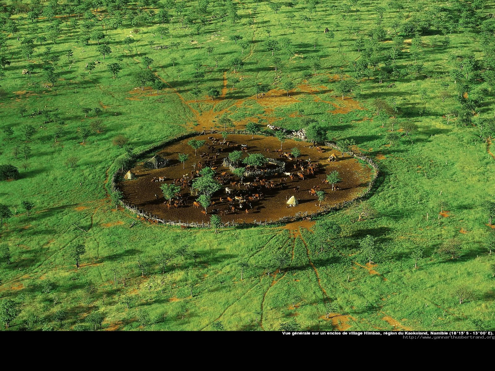 General view of a Himba village enclosure, Kunene region, Namibia.jpg