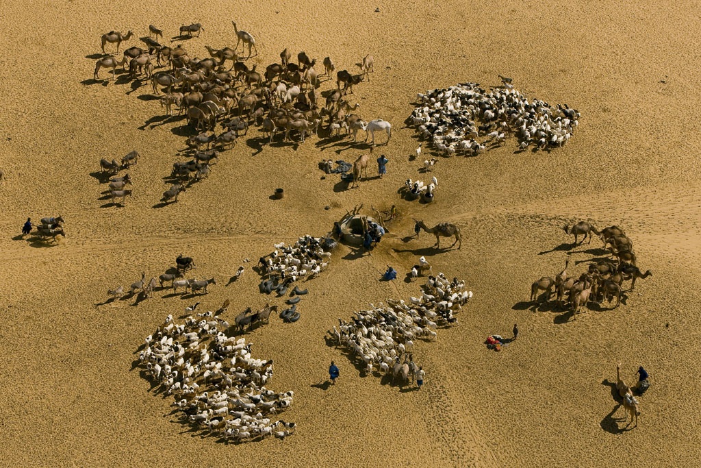 Goats and camels at a well in Ti-n-Tehoun, Timbuktu region, Mali 1.jpg