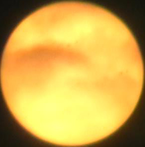 MOV001_201242117219.jpg