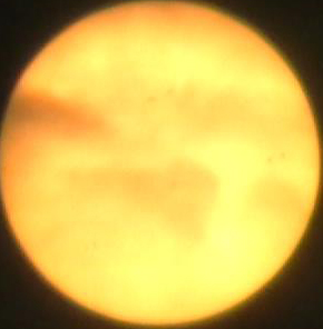 MOV001_201242117154.jpg