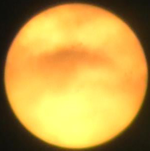 MOV001_201242117233.jpg