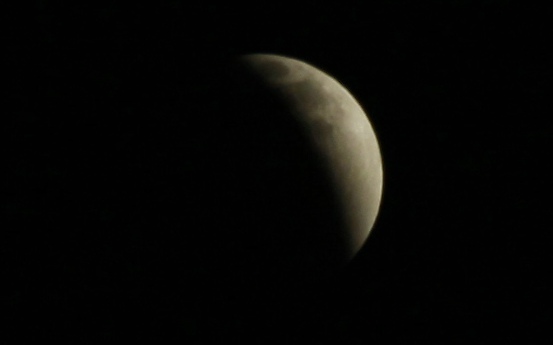 _MG_4084.jpg