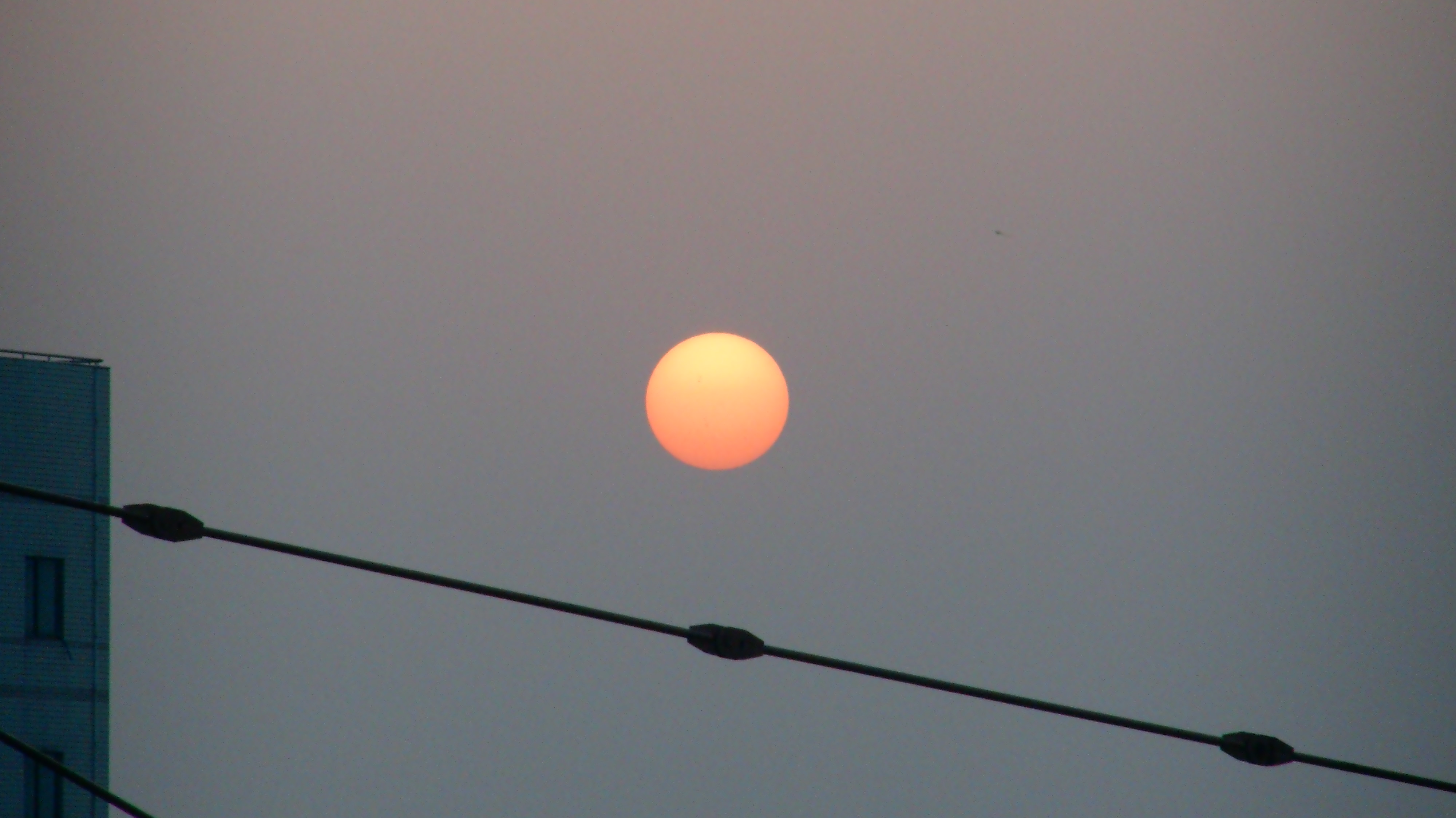 PIC_0095.JPG