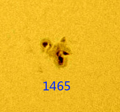 1465.jpg