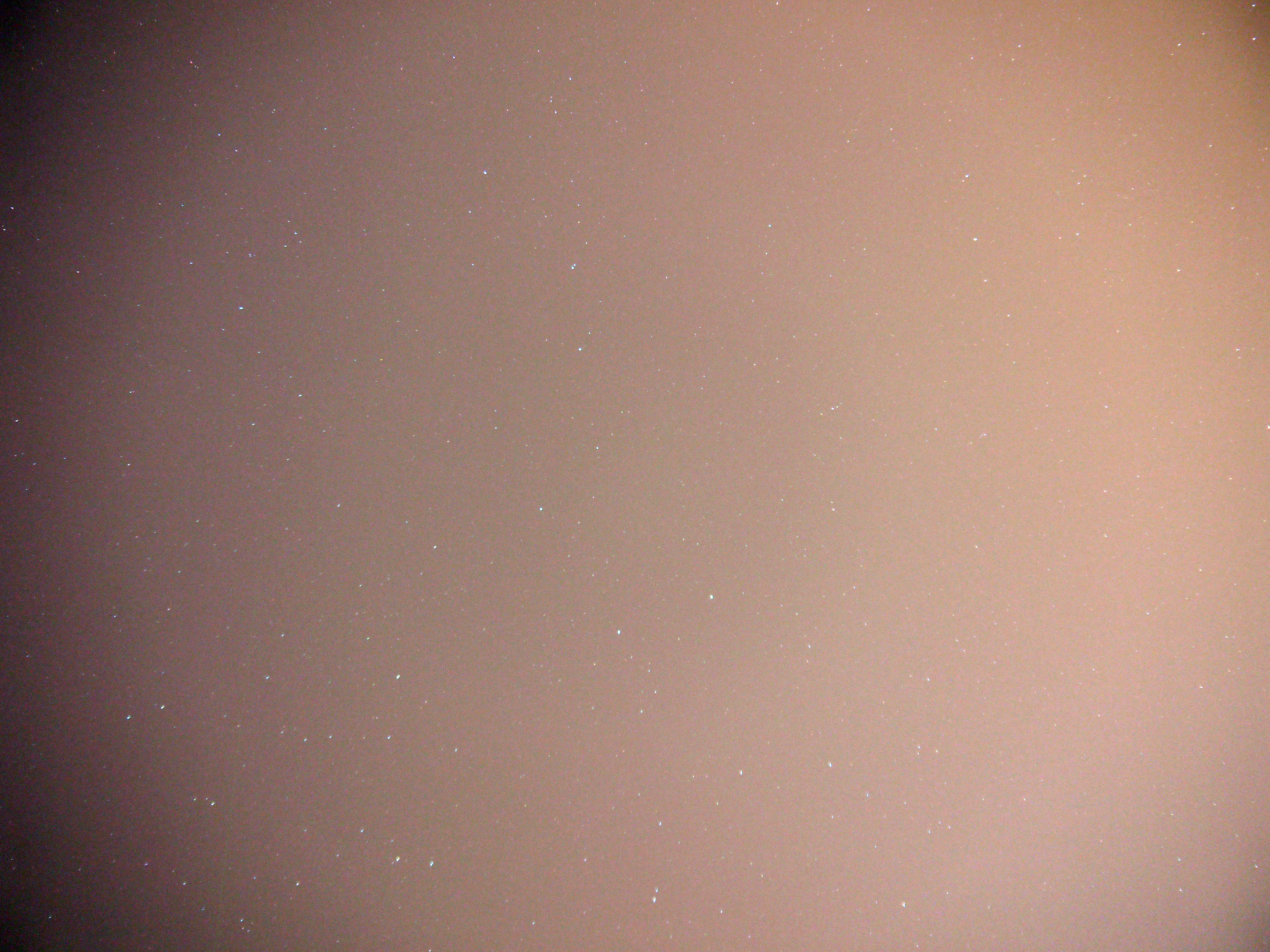 P1000548.jpg