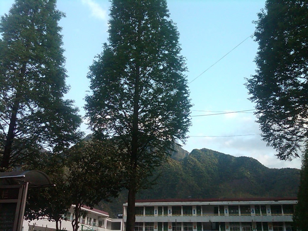 IMG00004-20120421-0943.jpg