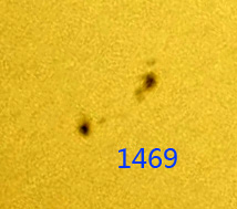 1469.jpg