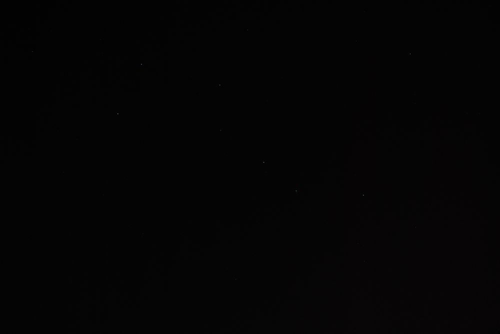 20120425 042.jpg