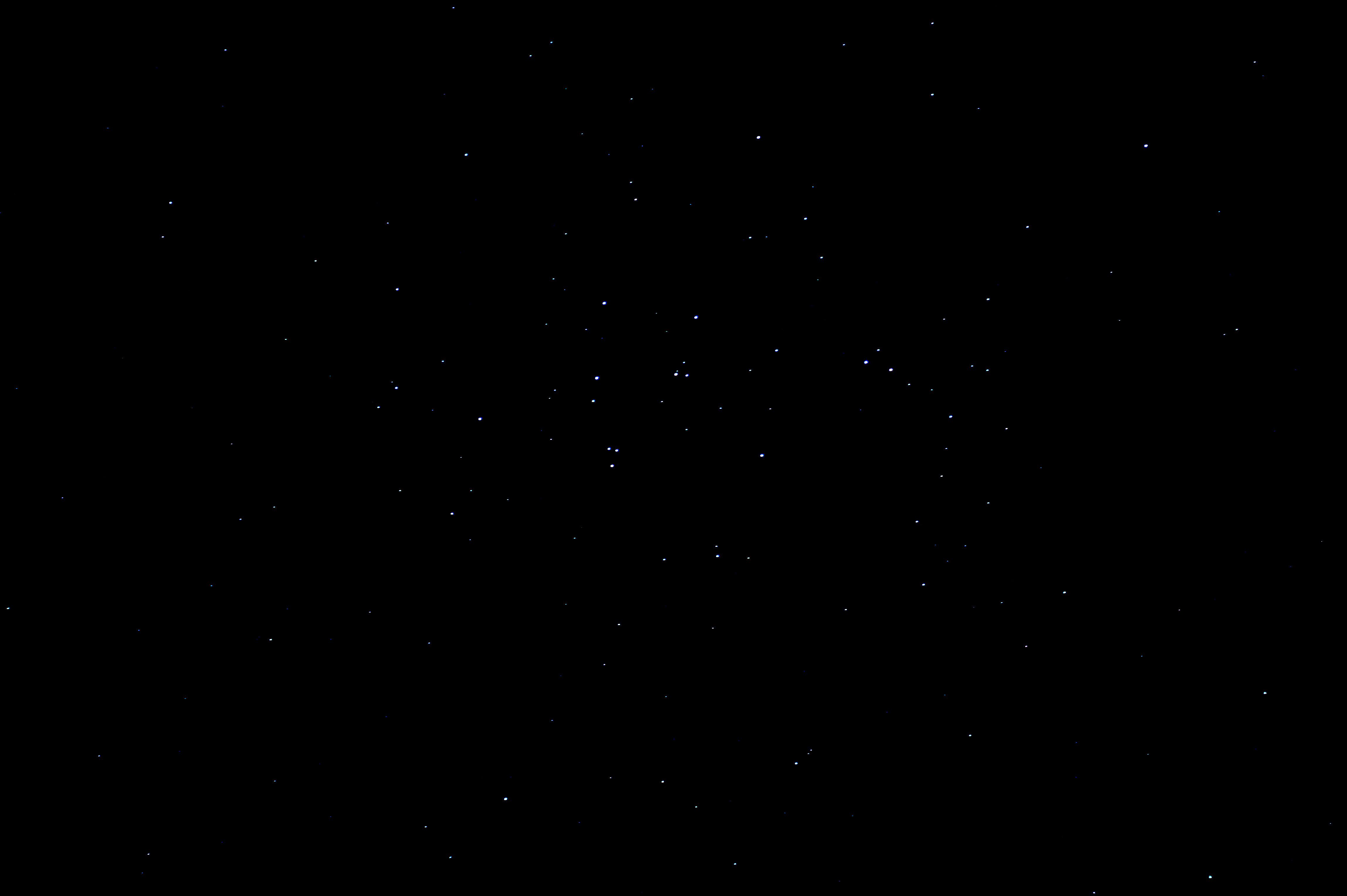 DSC03150.jpg