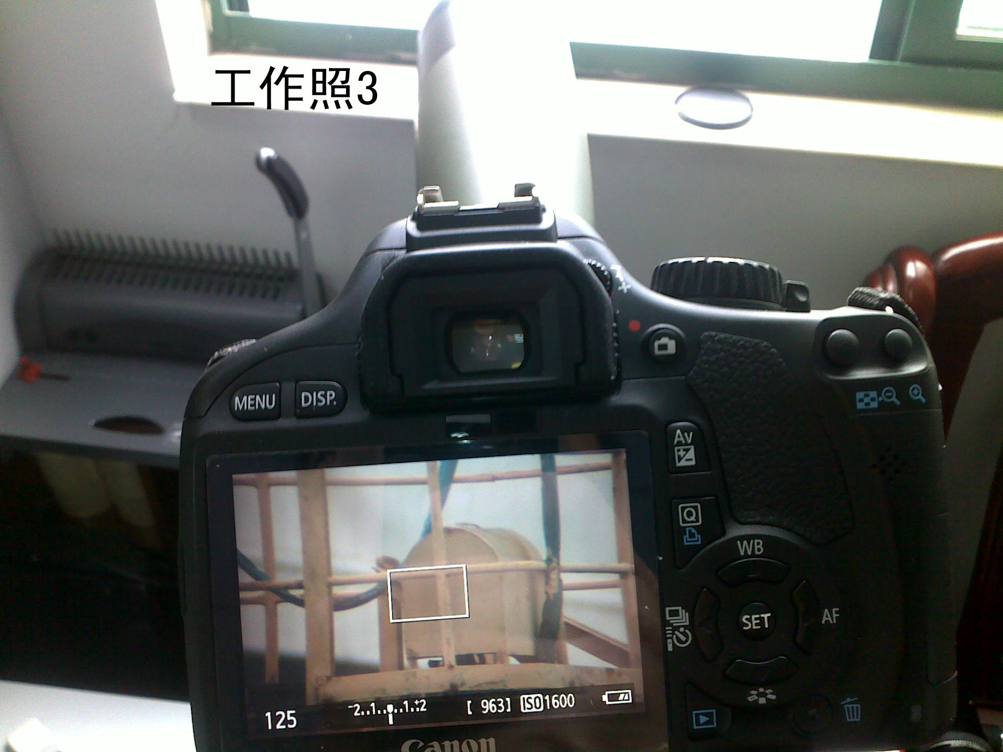 工作照1.jpg