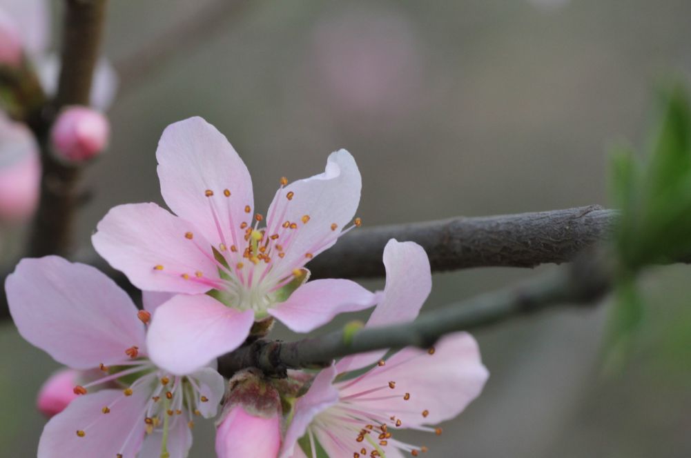 2012-04-30_17-06-24.jpg