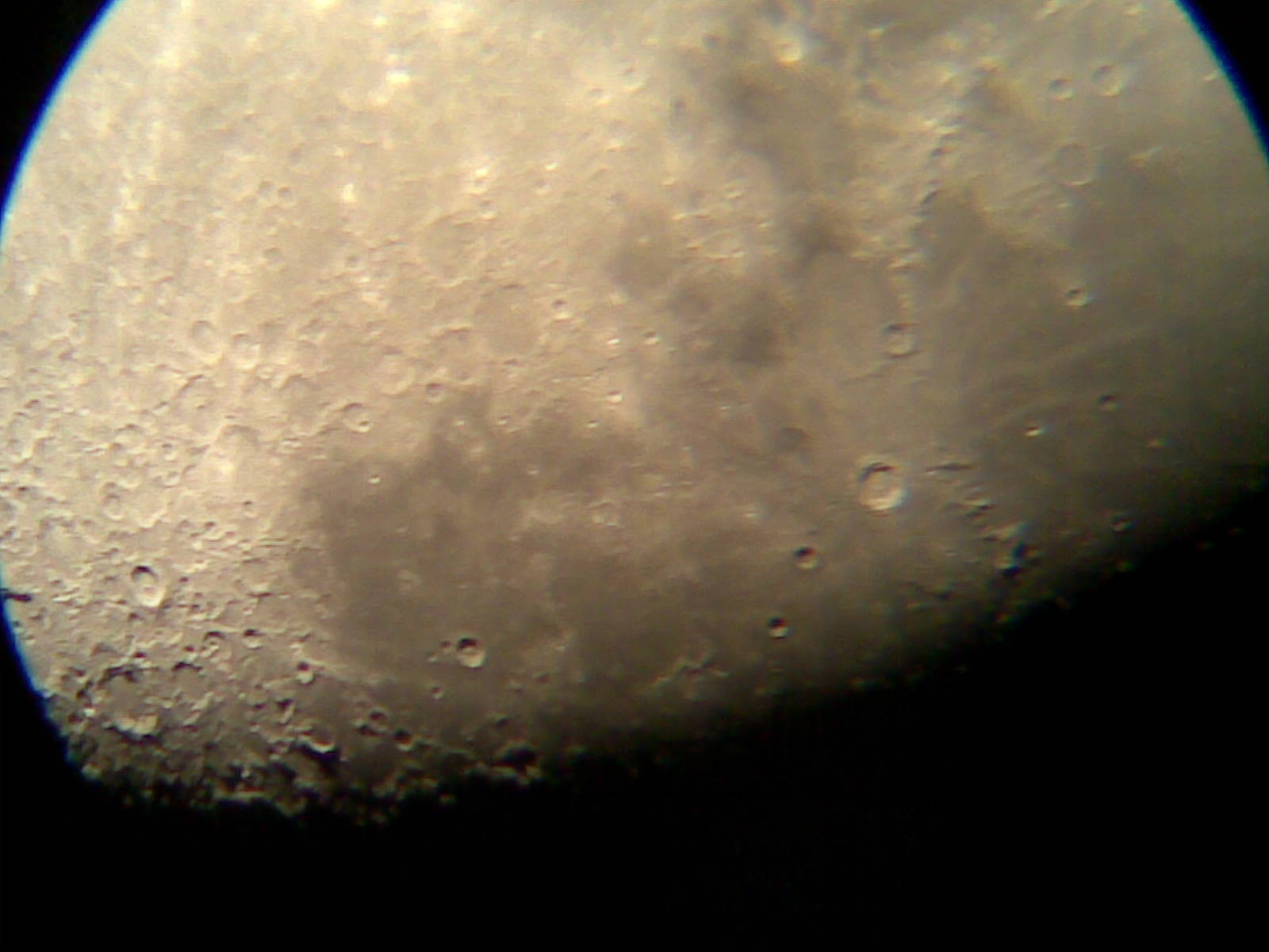 20120501(155).jpg