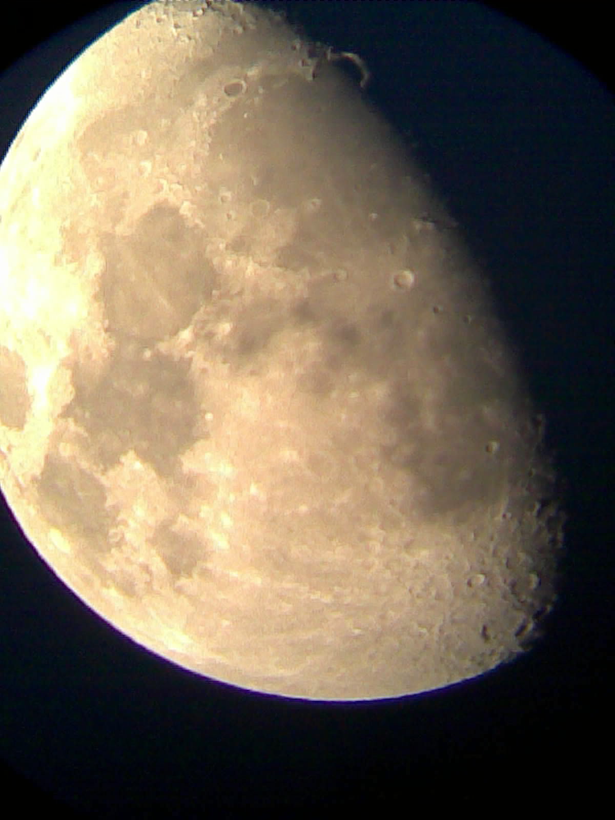 20120501(063)-001.jpg