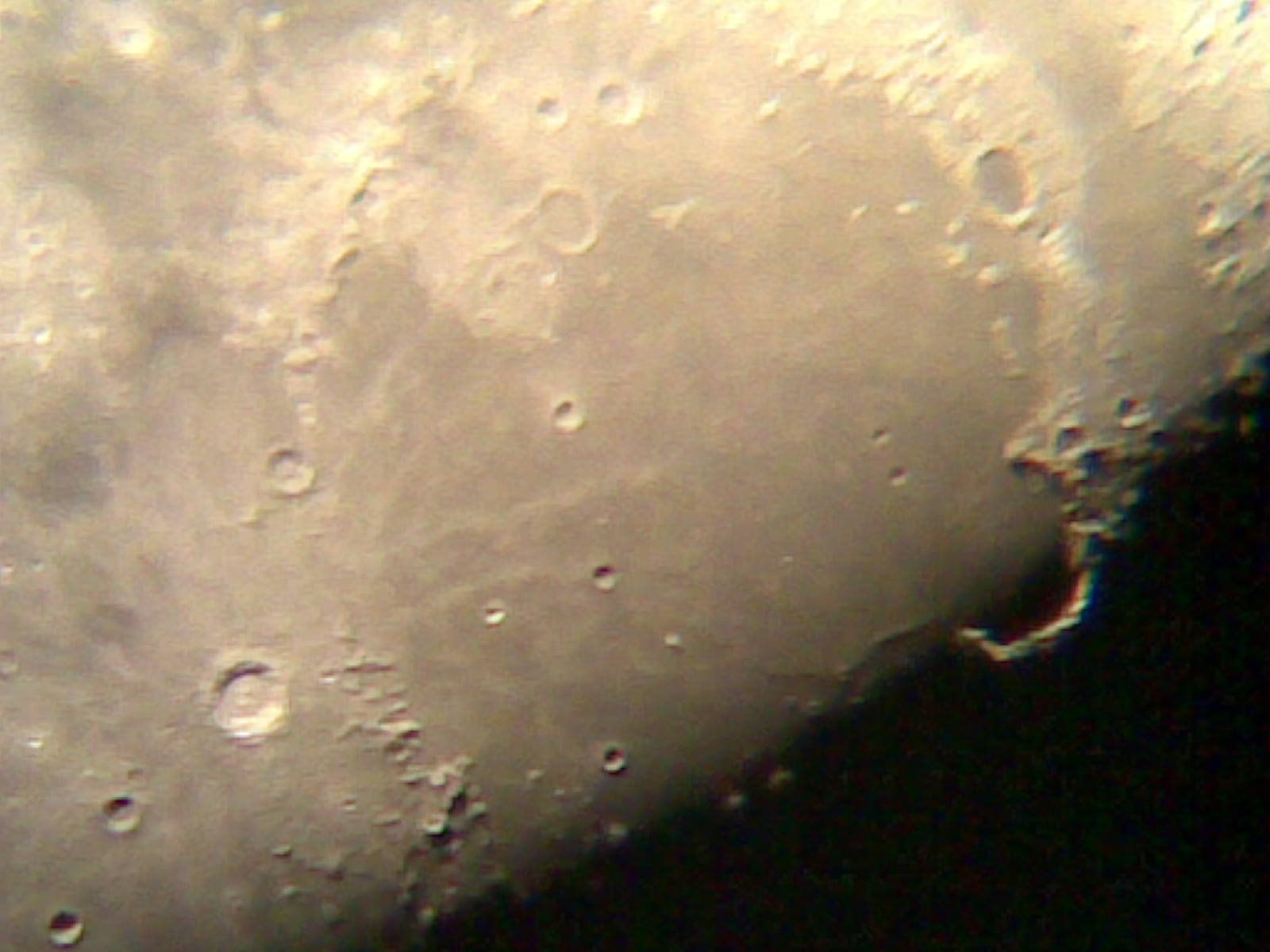 20120501(149).jpg