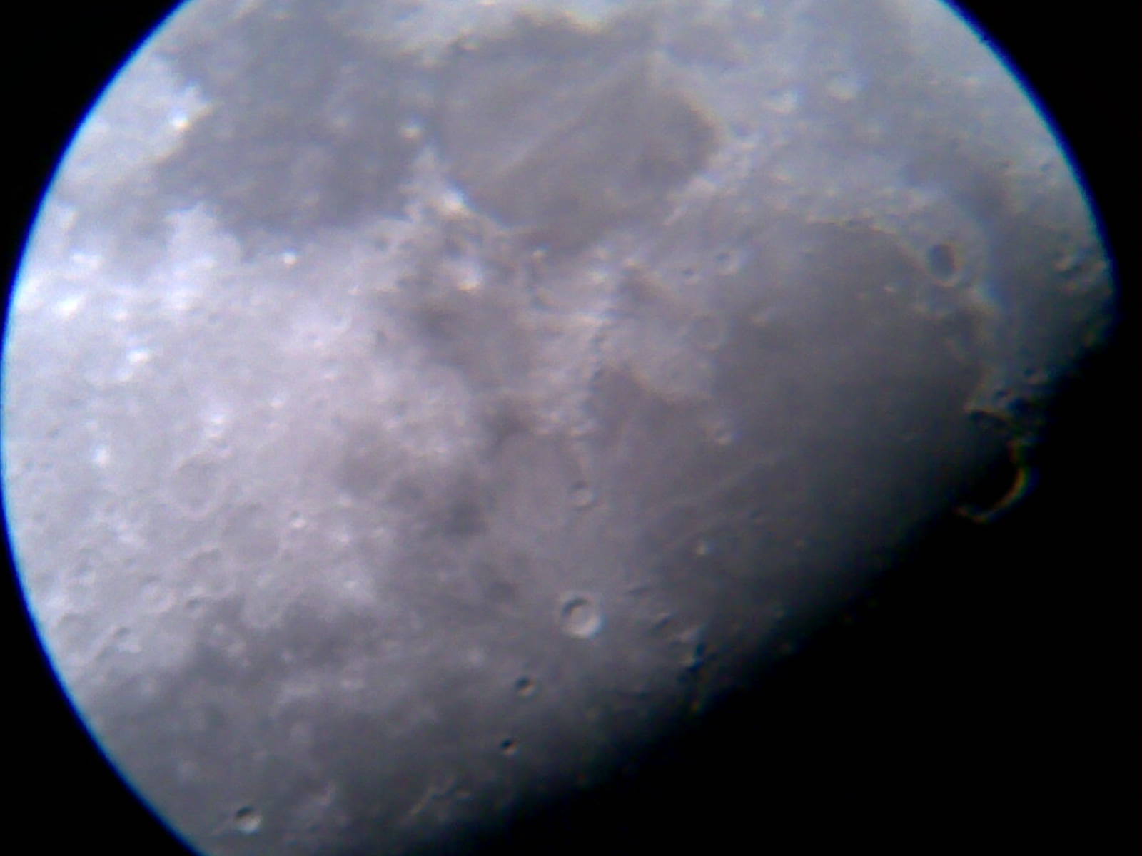 20120501(074).jpg