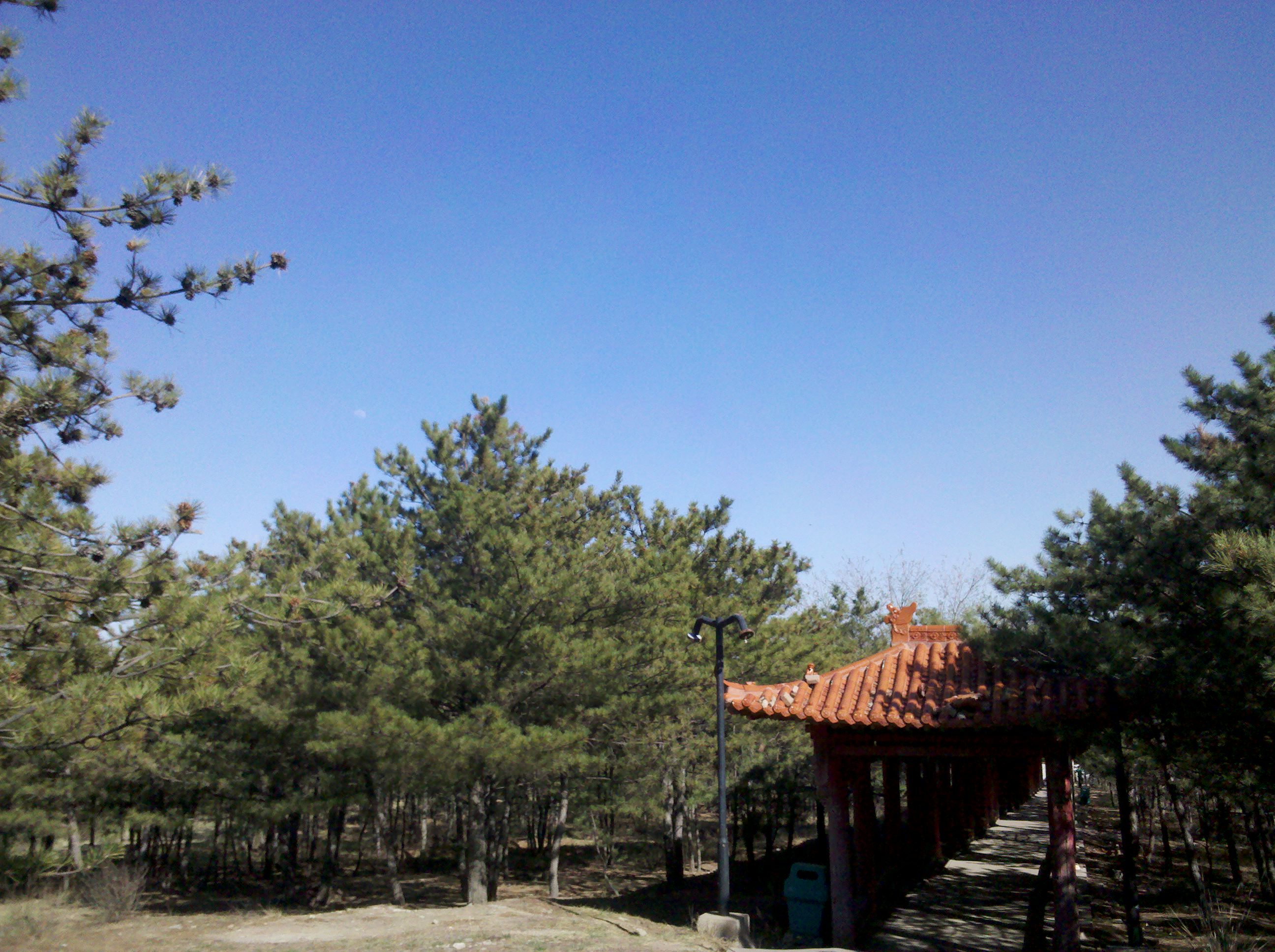 IMG_20120502_161429.jpg