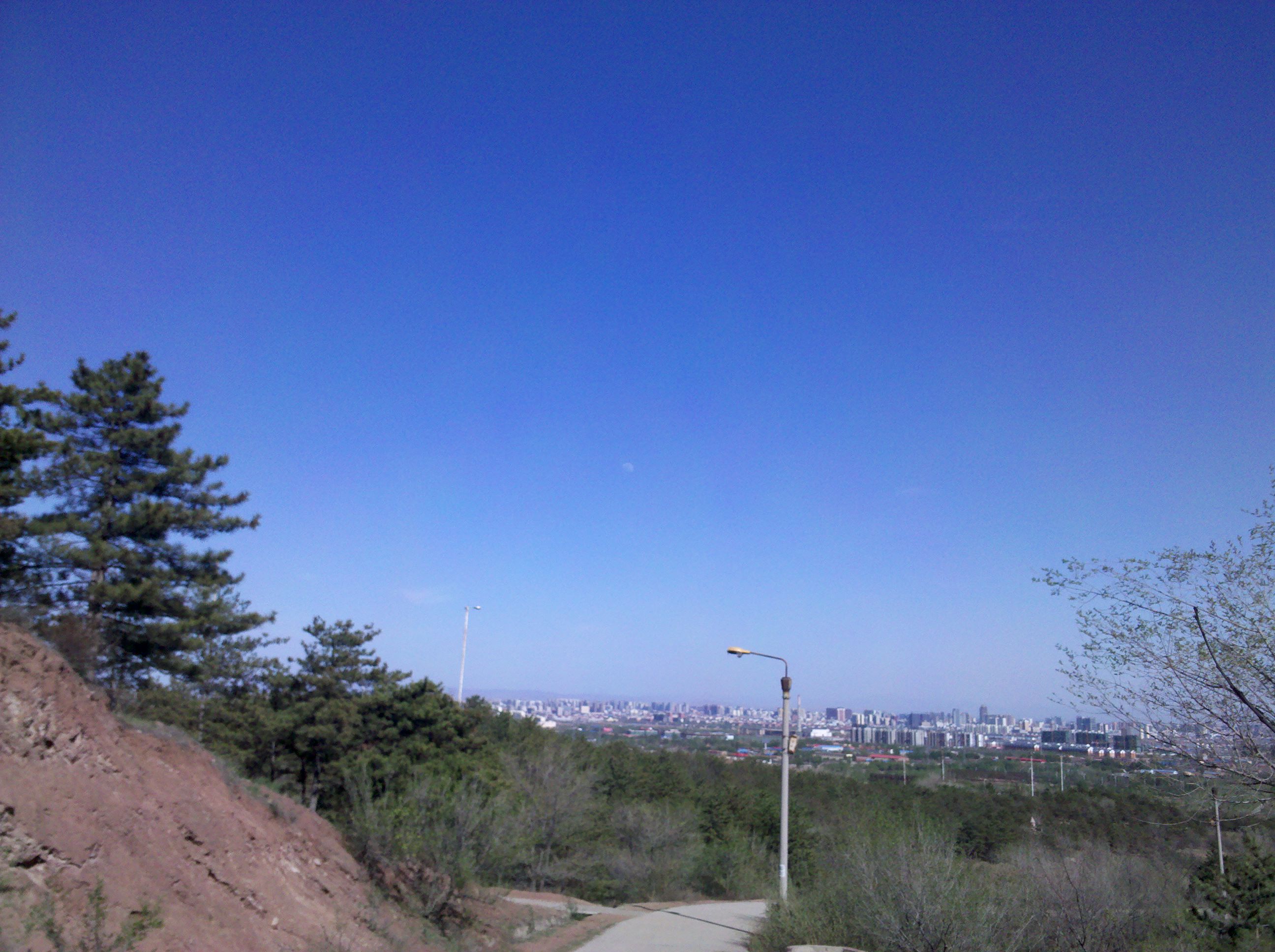 IMG_20120502_160722.jpg