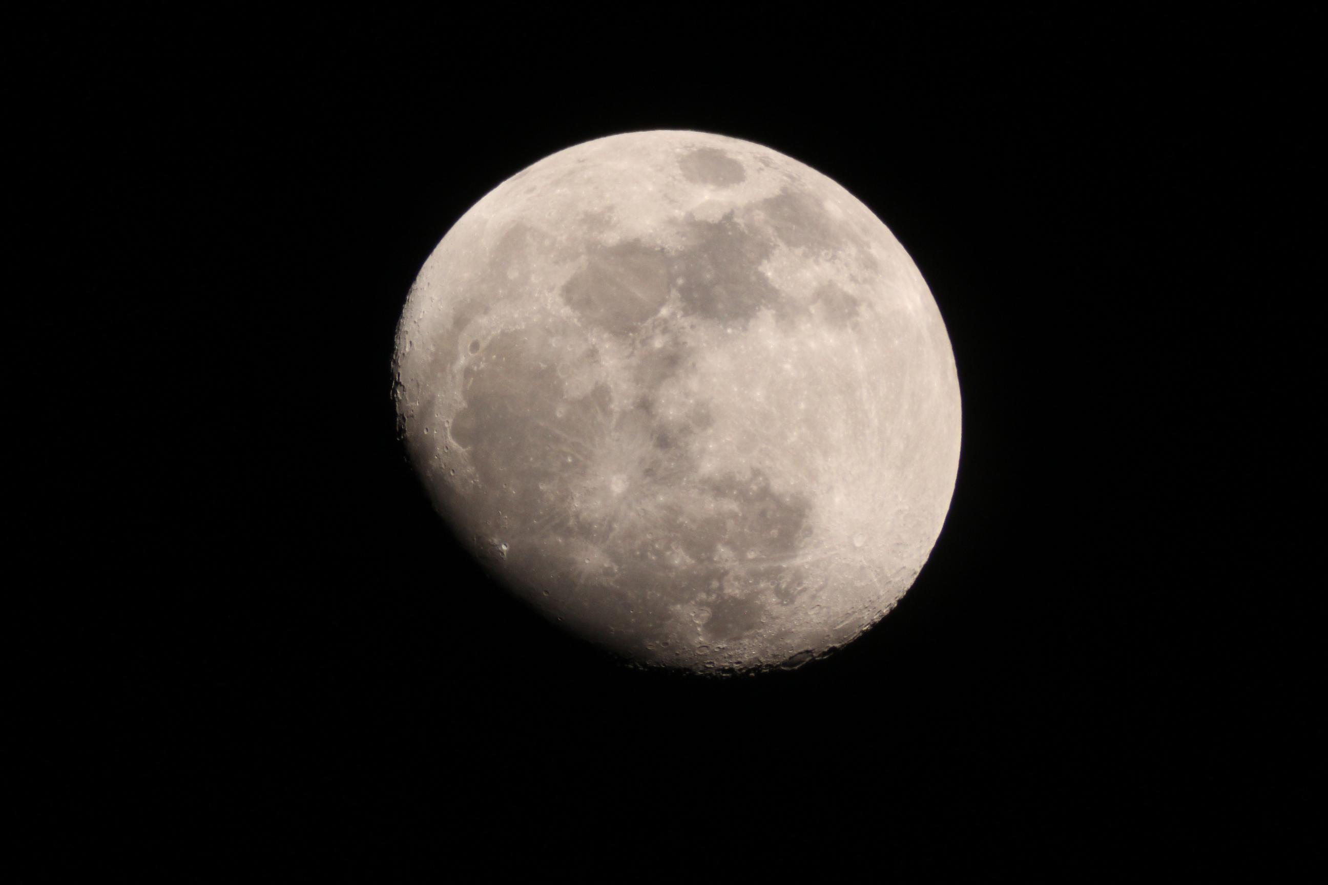 IMG_5685.jpg