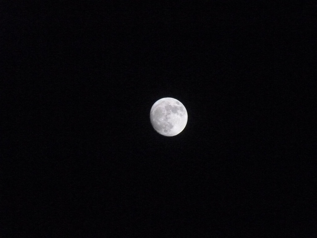 P1090508a.jpg