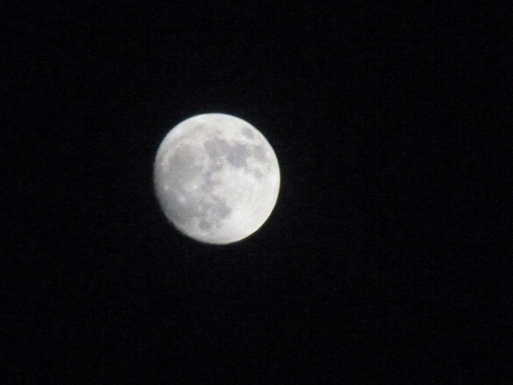 P1090509a.jpg