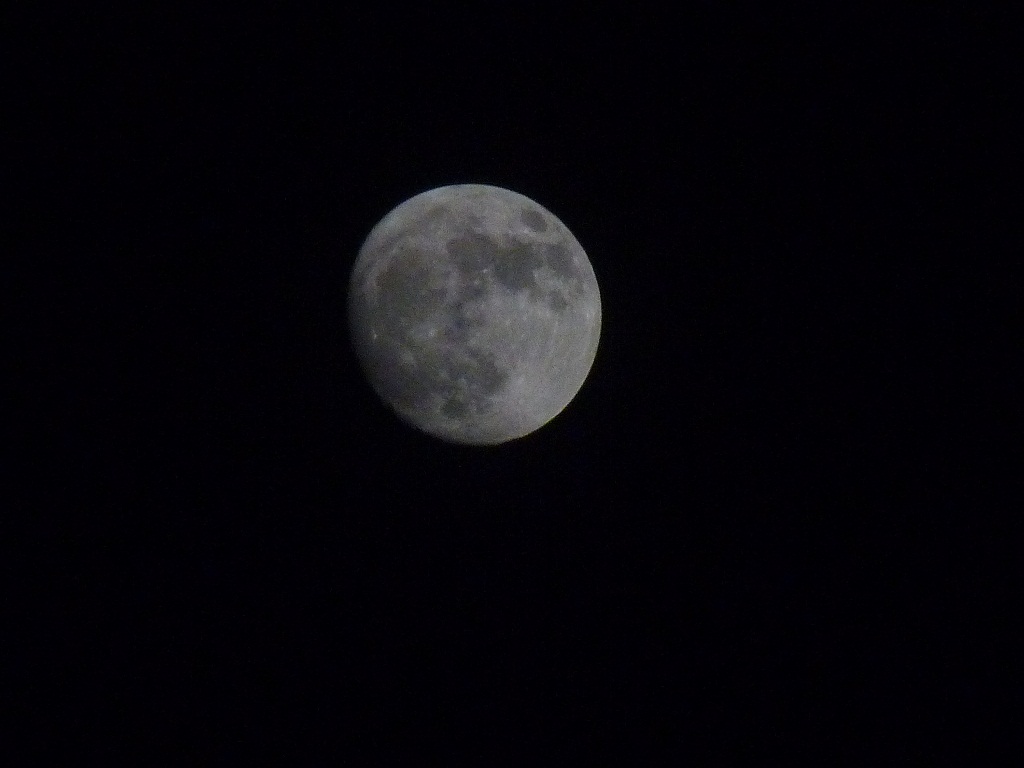 P1090510a.jpg