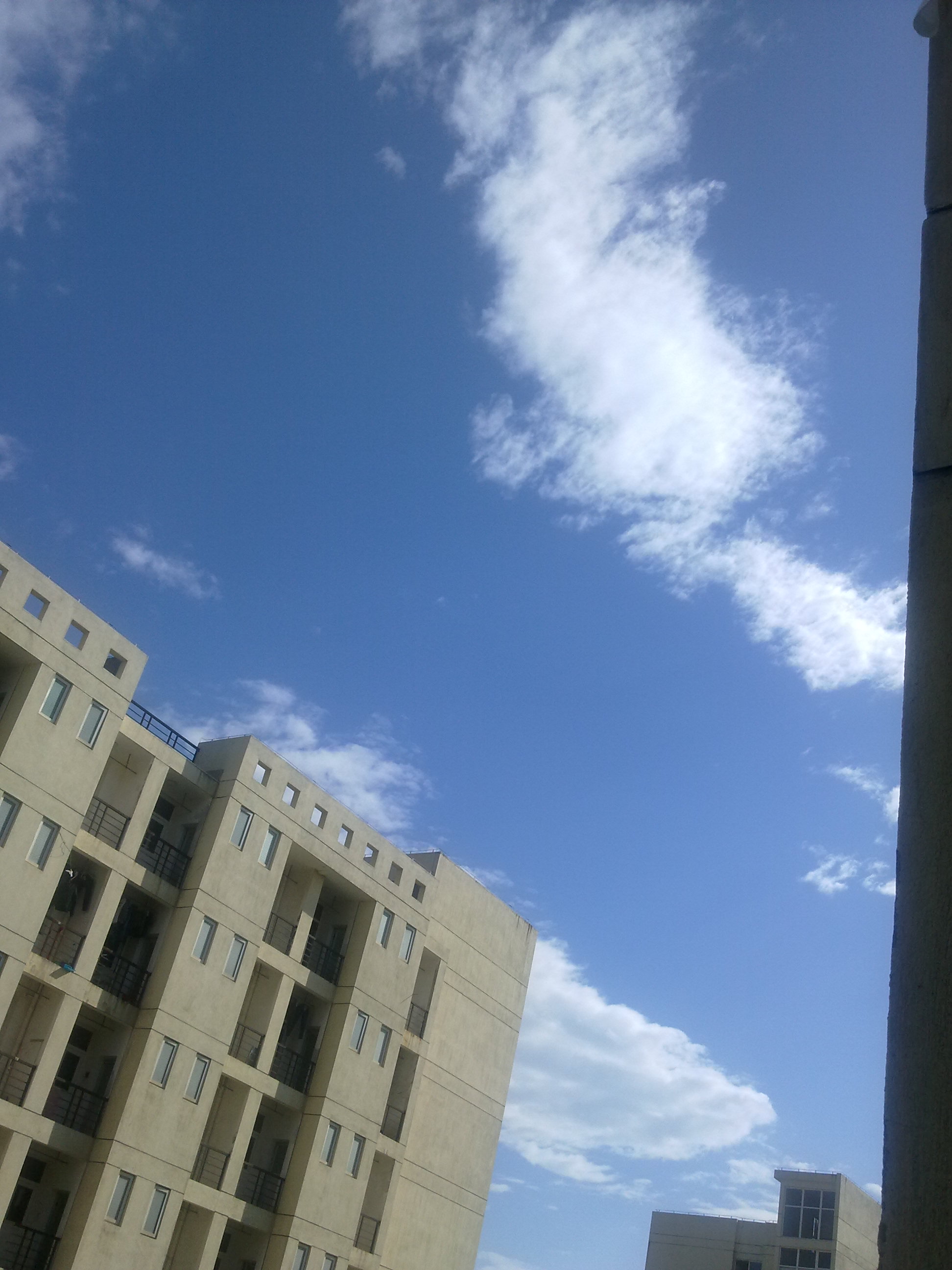 20120425060.jpg