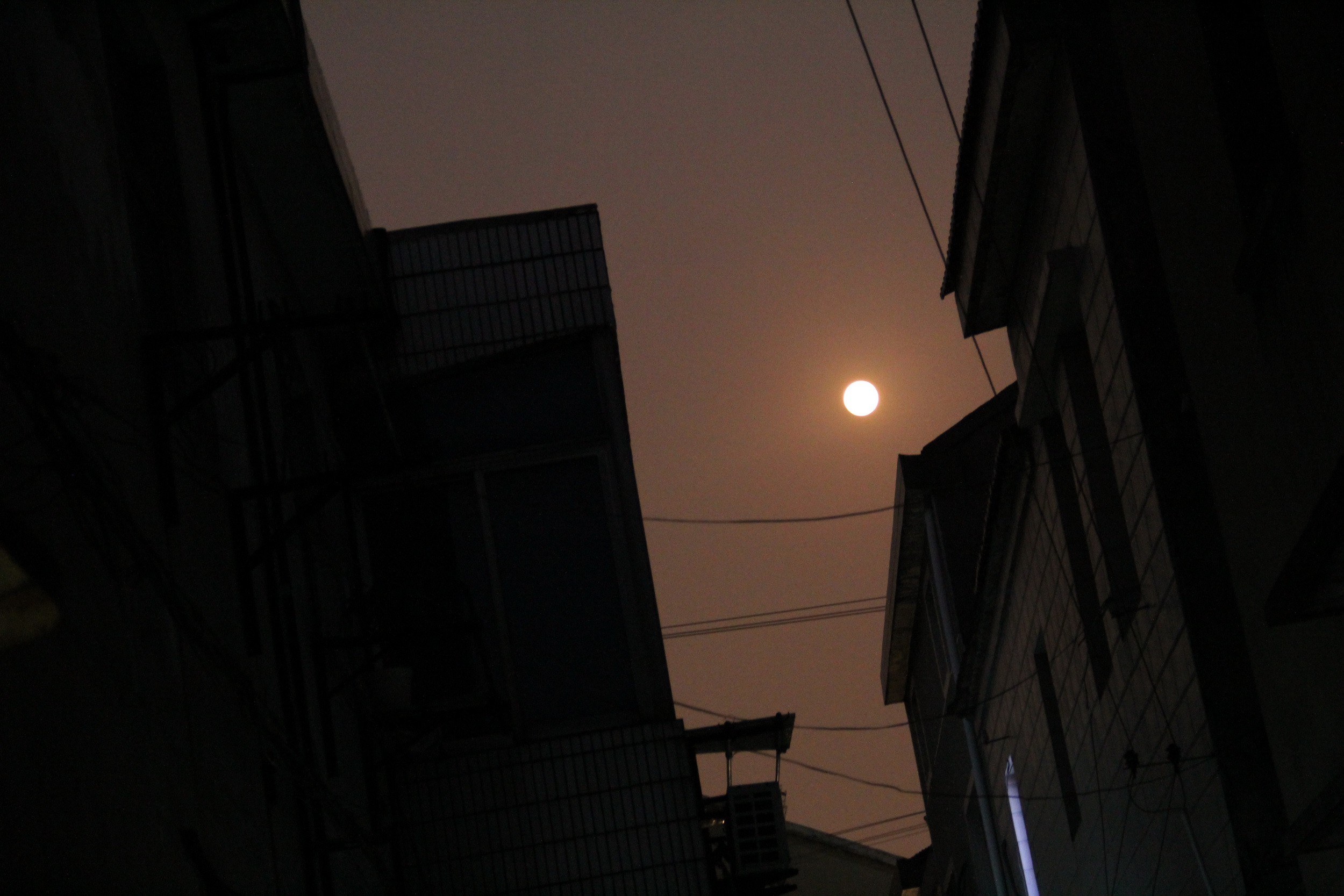 IMG_8716.jpg