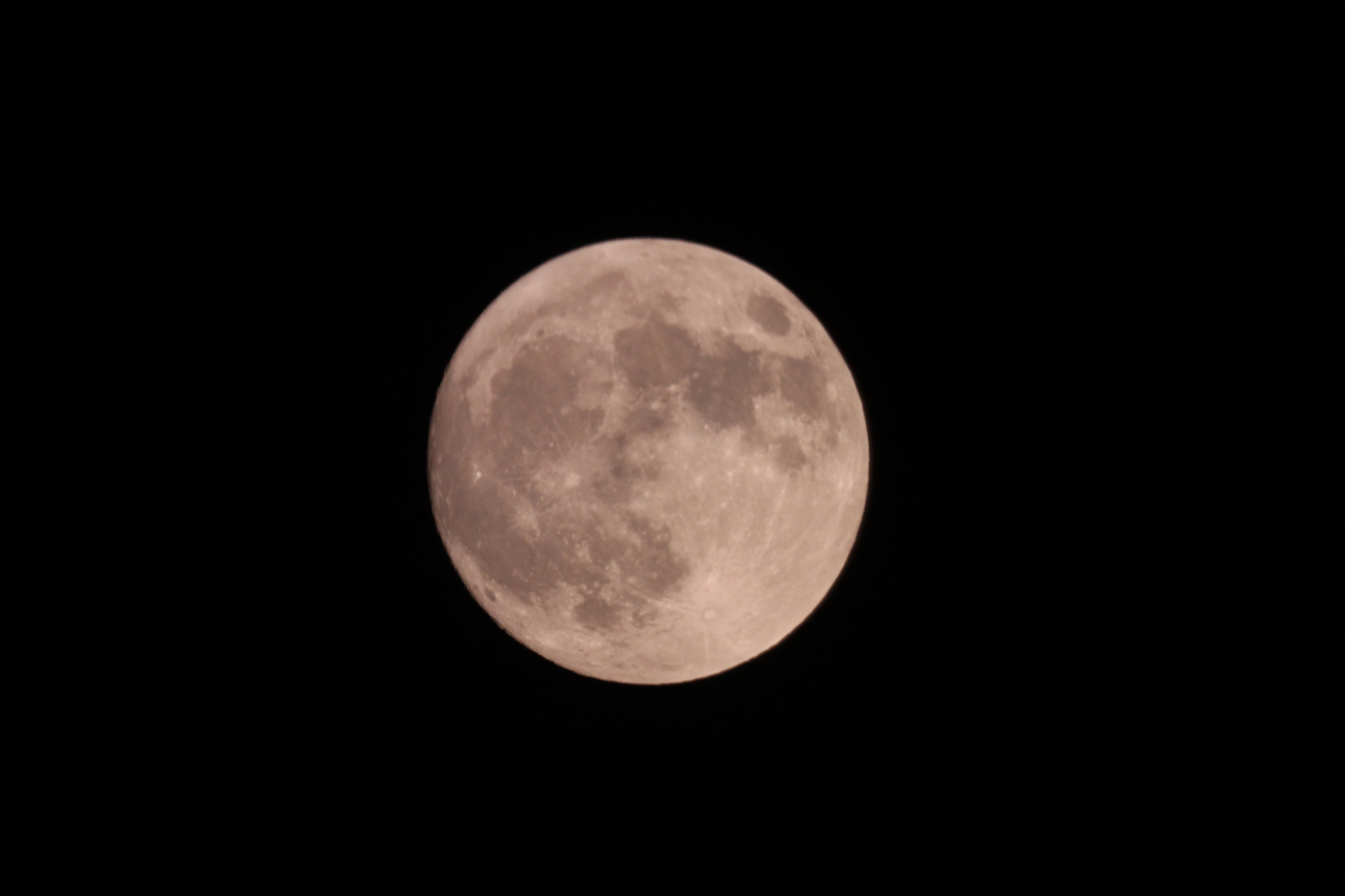 IMG_3155.jpg