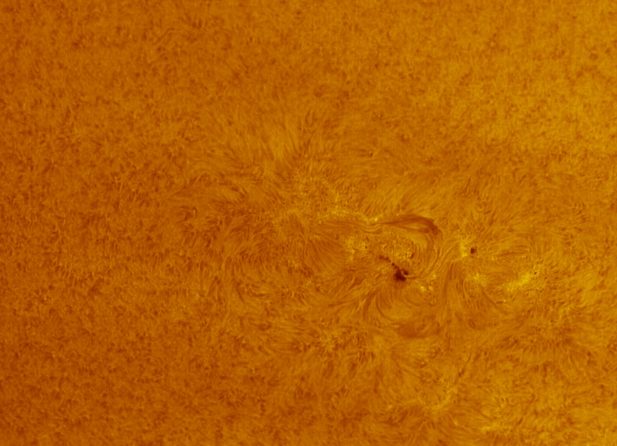 4-C.jpg