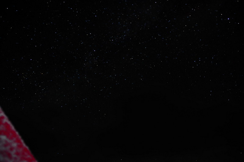 DSC_9265.jpg