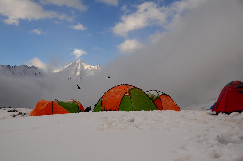 DSC_9293.jpg