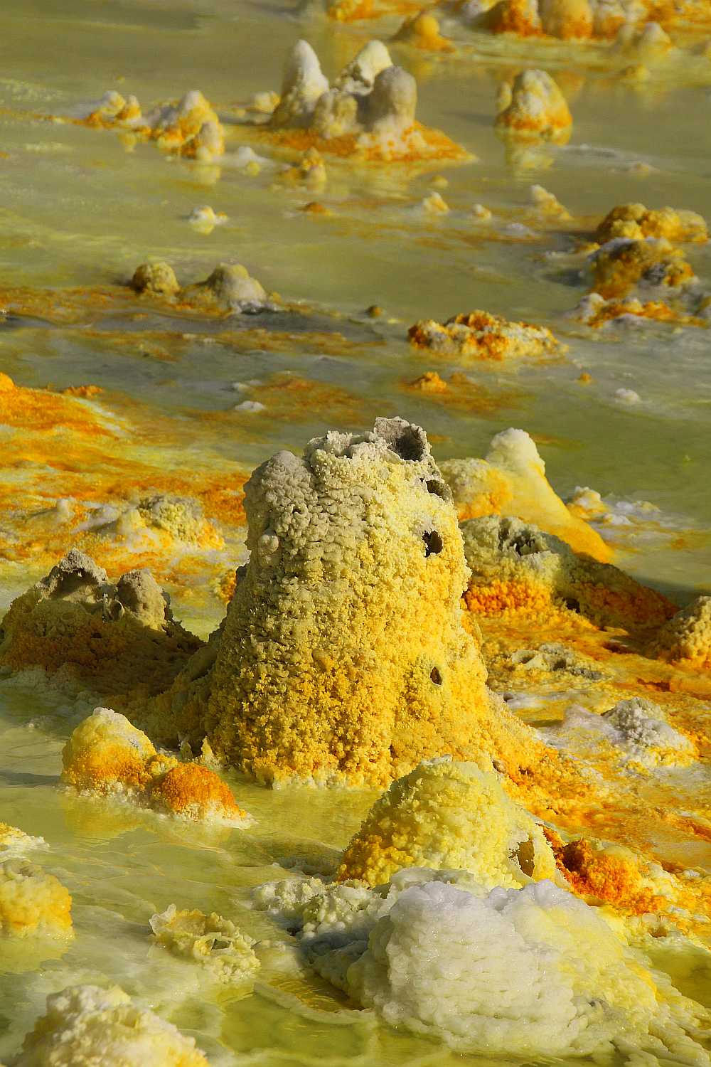 bright_yellow_sulphurous_vents_hamed_ela_hot_springs.jpg