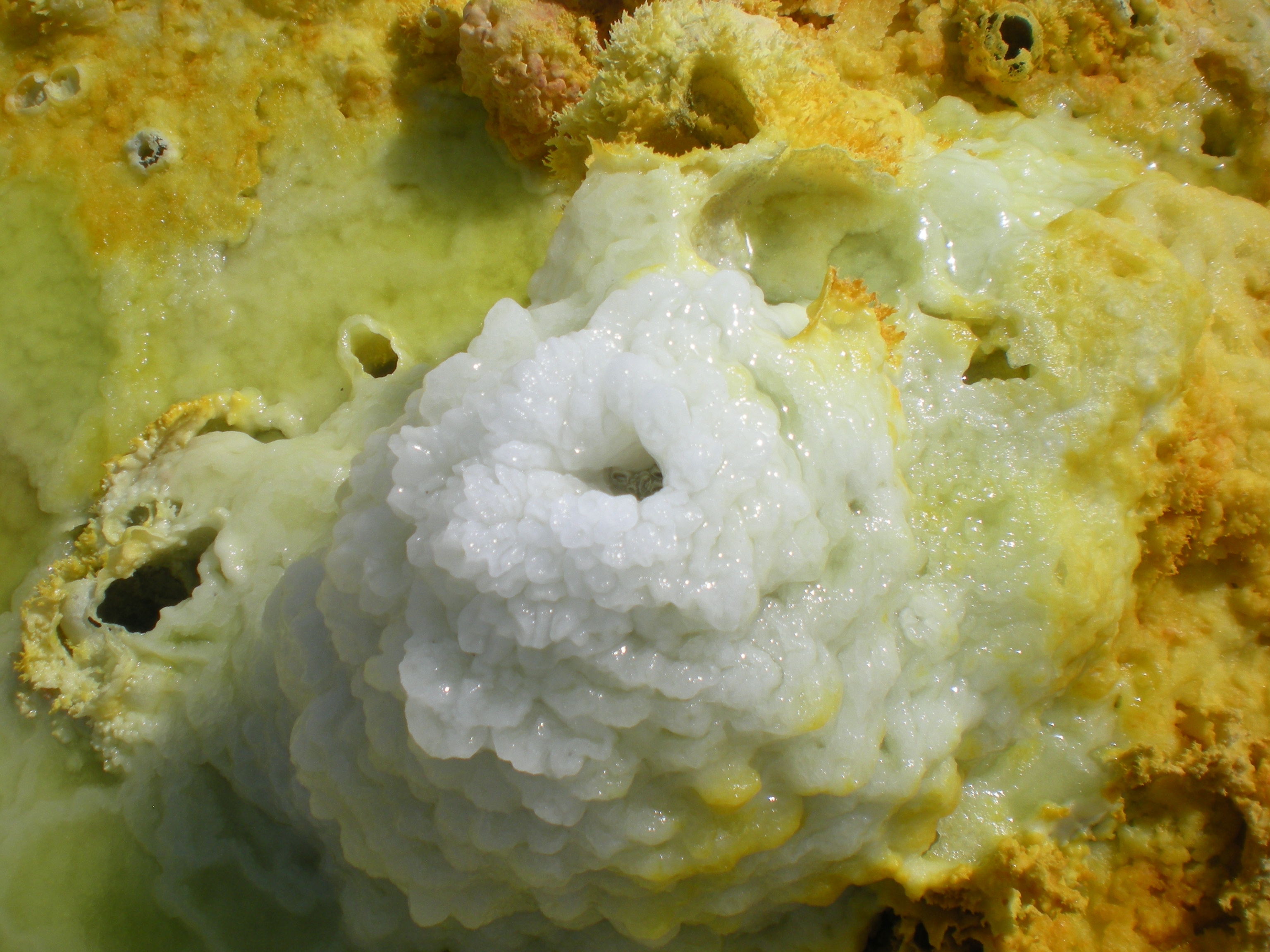 Dallol is the lowest point of the Danakil Depression (116 meters below sea level.jpg