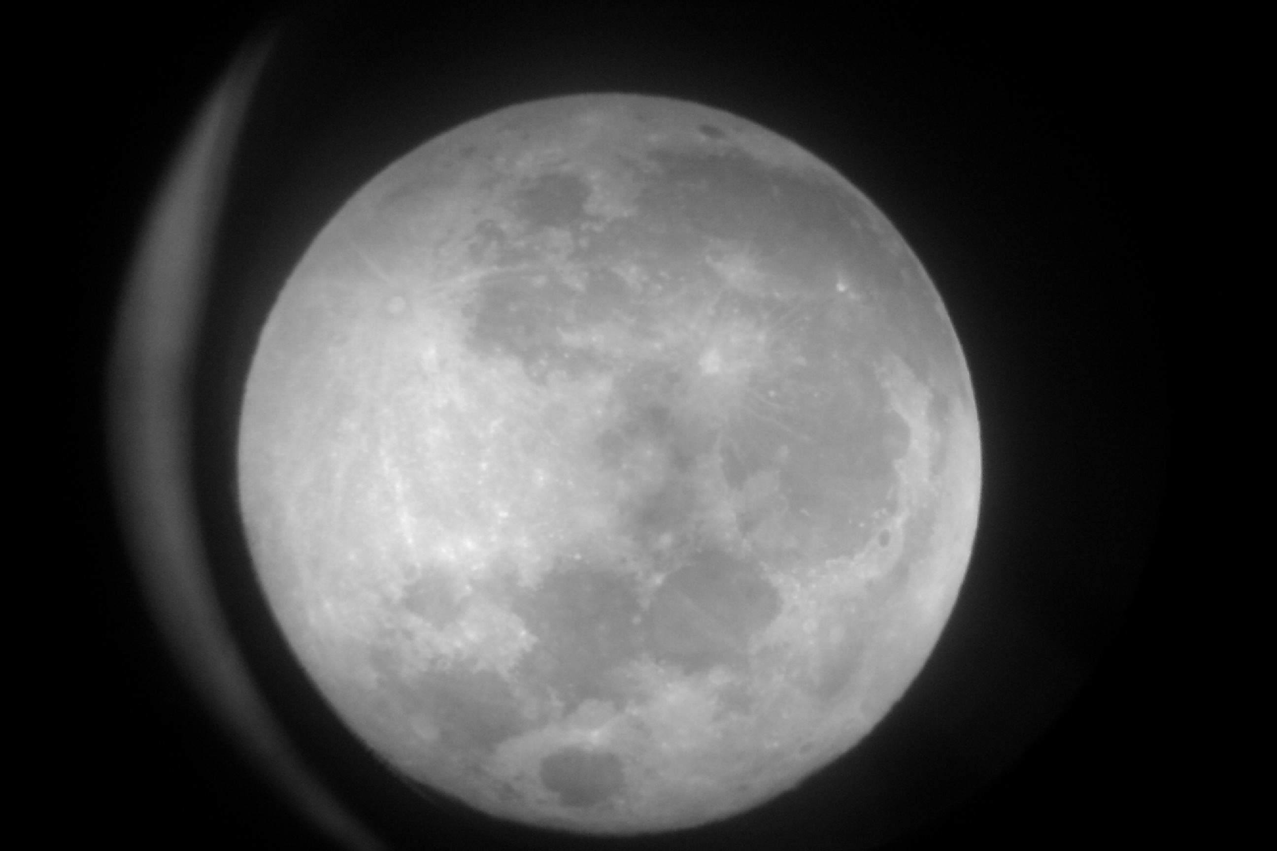 IMAG0231.jpg