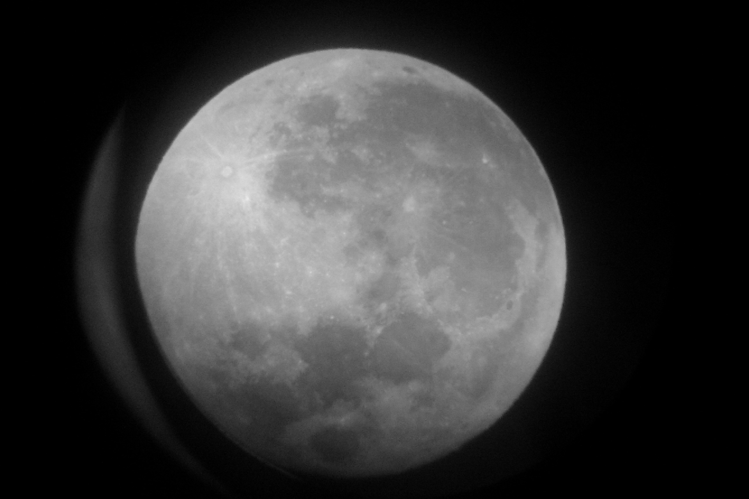 IMAG0232.jpg