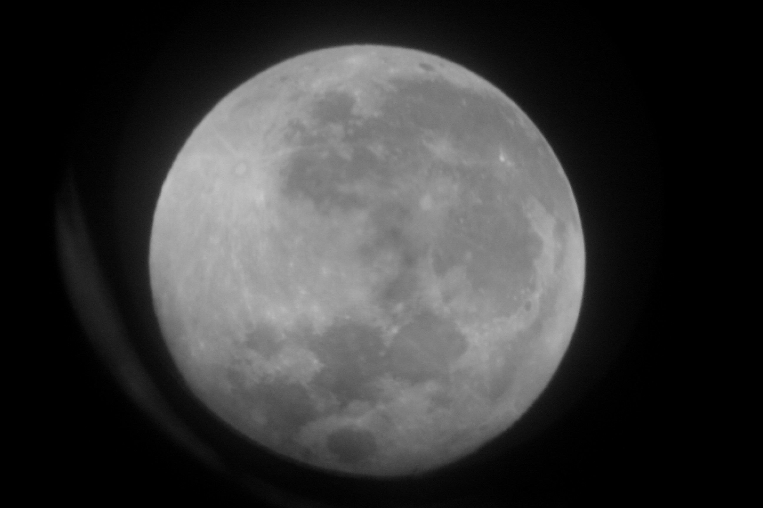 IMAG0233.jpg