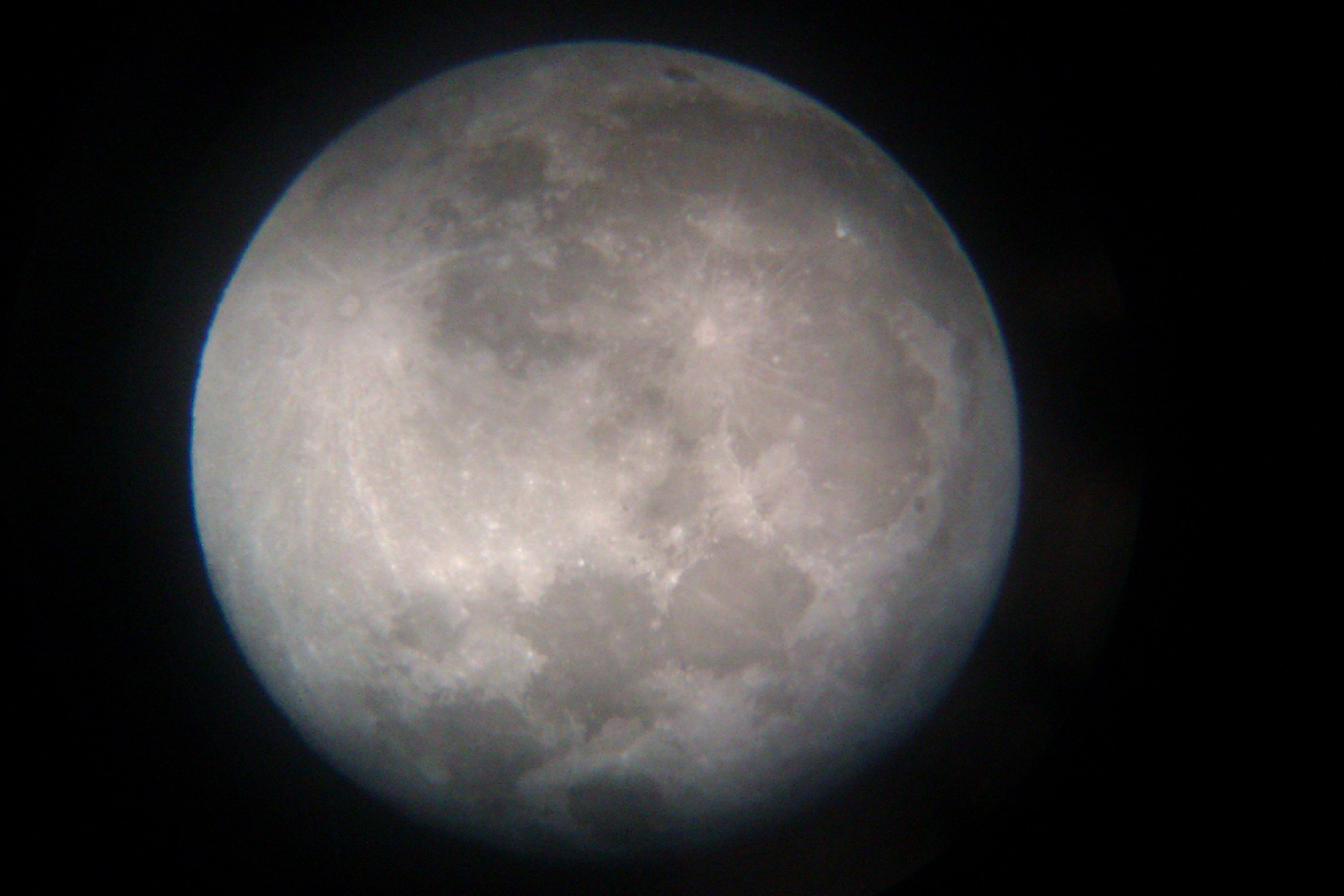 IMAG0236.jpg