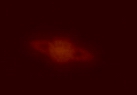 MVI_0101.jpg