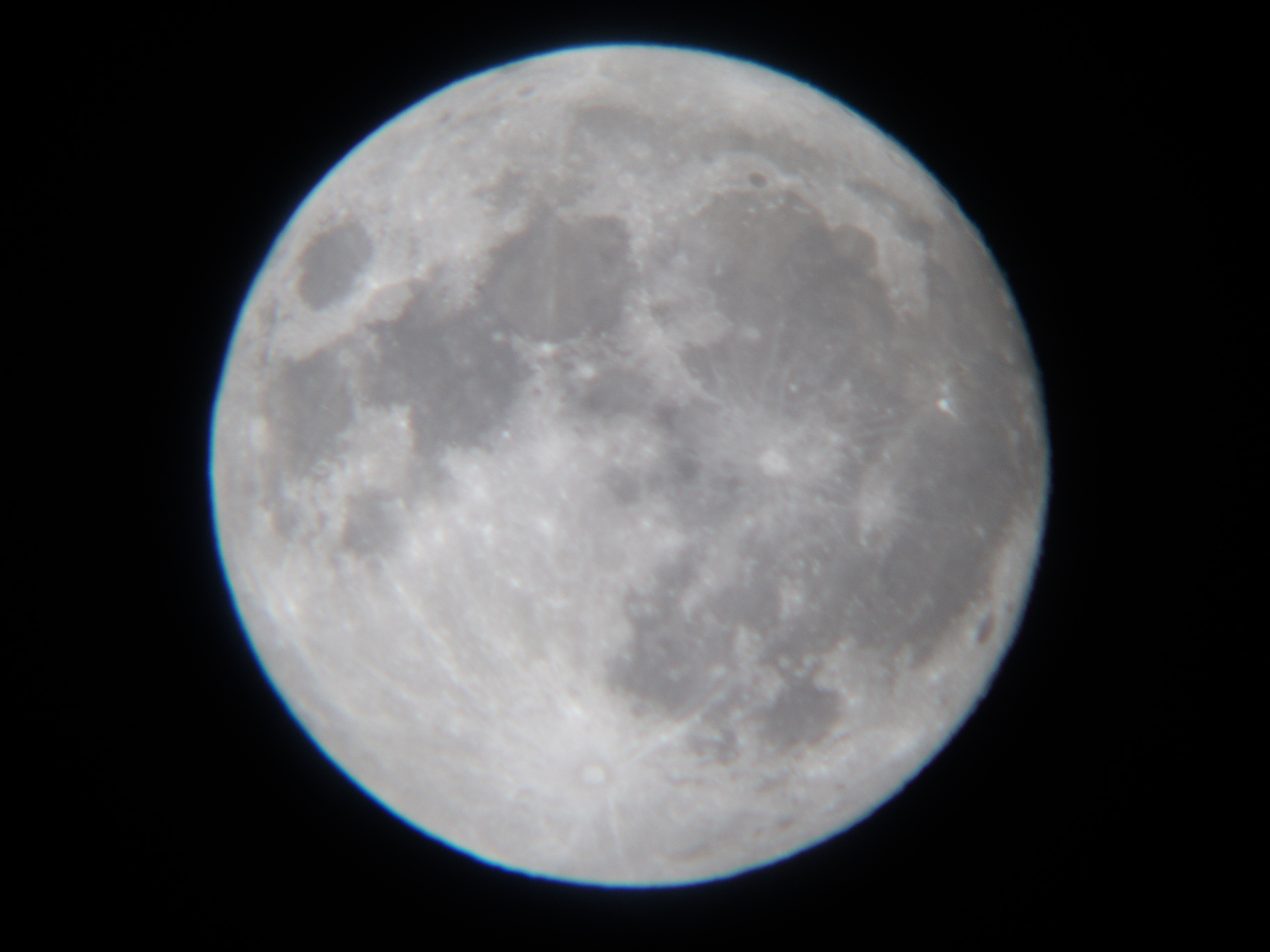 DSCF0306.JPG