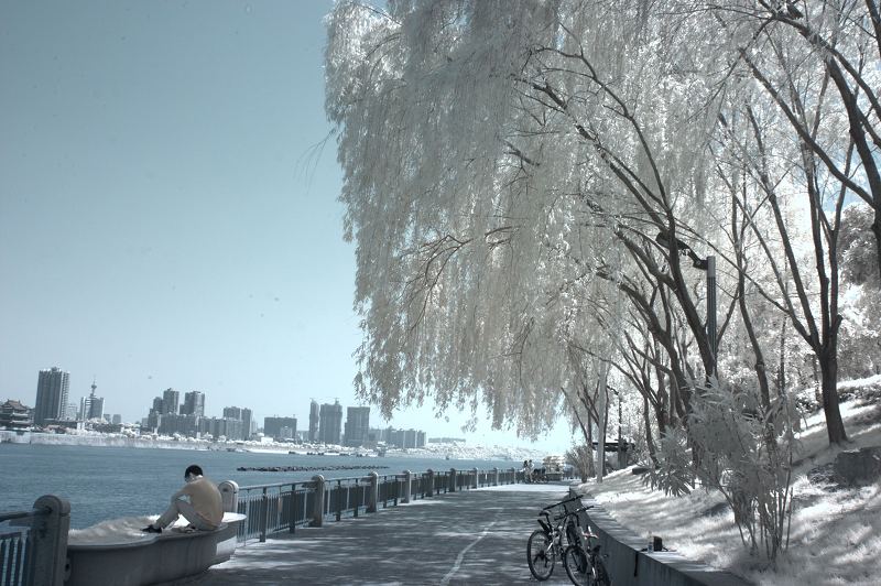 CRW_9279.jpg