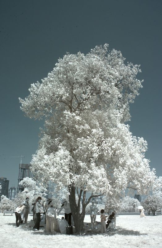 CRW_9288.jpg