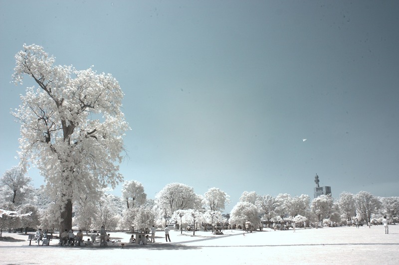 CRW_9291.jpg